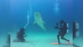 In Depth: The ocean (Part 1)