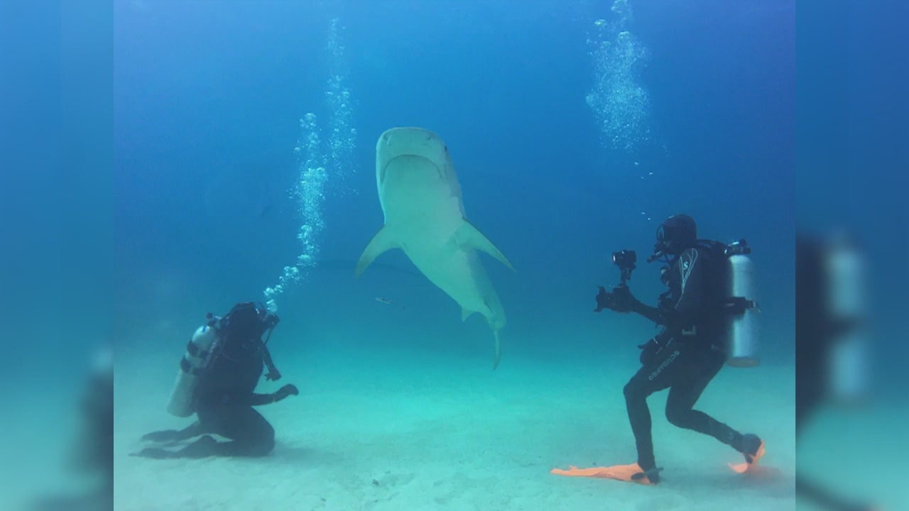 In Depth: The ocean (Part 1)