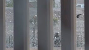 New report tracks 'known gotaways' at border