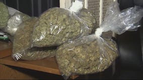 West Hollywood Pot Preps