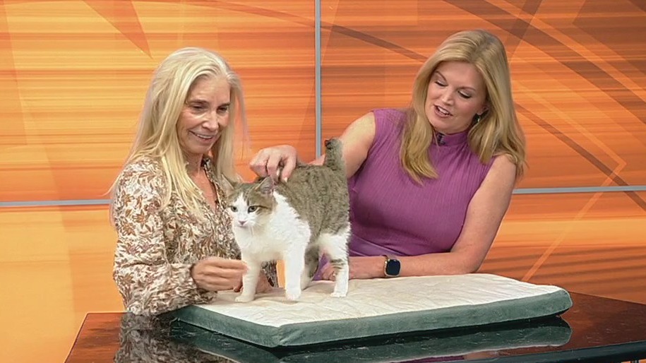 Mimi: Pet of the Day 11/26/2025