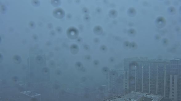 Storm Alert Day: Strong storms in Central Florida