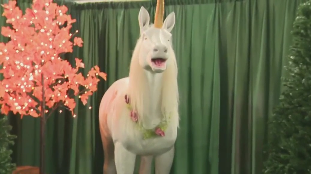 Enchanted Forest at Unicorn World Milwaukee