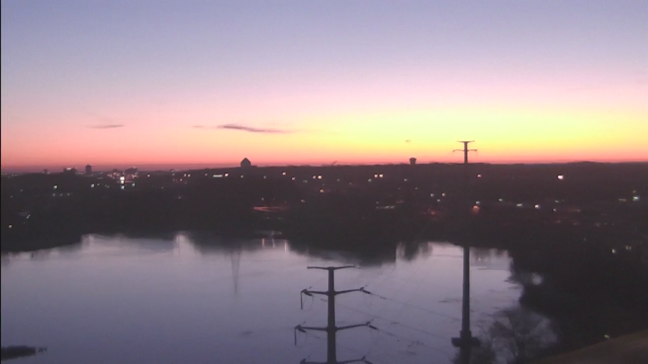 Picking out the perfect Christmas tree