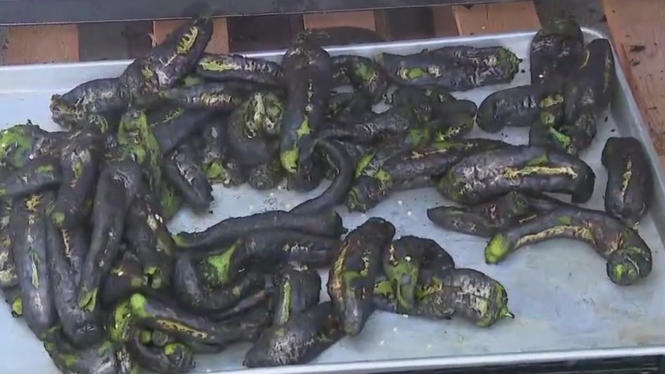 Central Market Hatch Chile pepper celebration