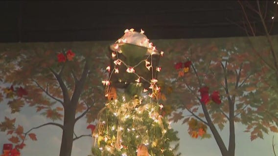 Themed trees at the Lake Geneva Parade of Trees