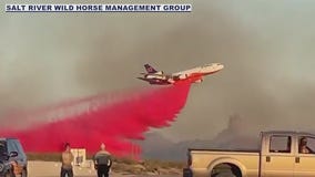 Brush fire breaks out along Bush Highway