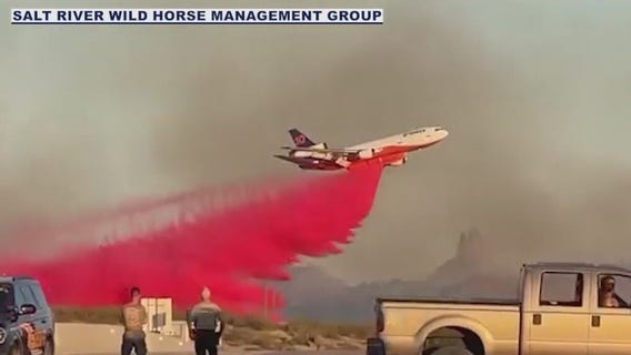 Brush fire breaks out along Bush Highway