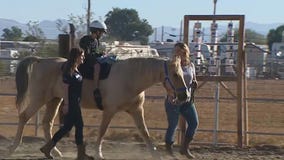 Able Acre Farms in Queen Creek