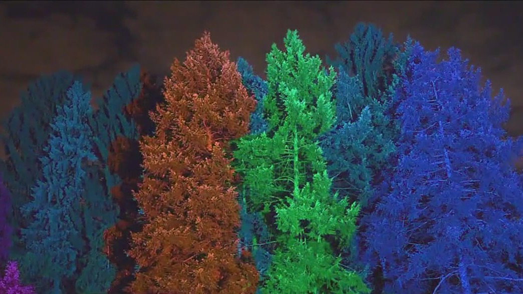 Chicago weekend events: Ballet, singing, lights, and skating