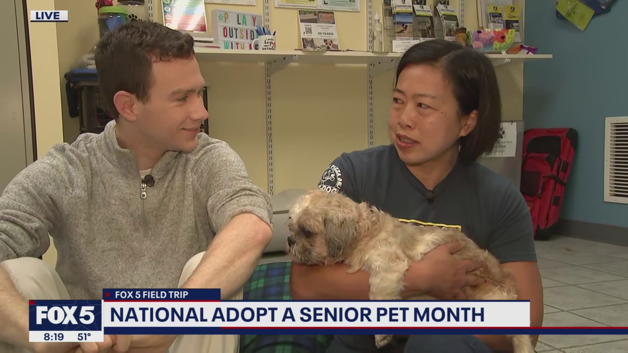 FOX FIVE FIELD TRIP: Senior pets looking for forever home!