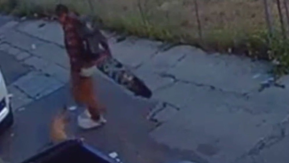 Man accused of abusing dog pleads not guilty