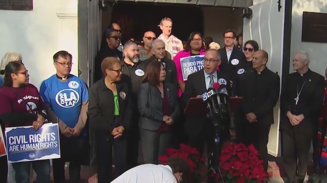 Hearing held over immigration raids