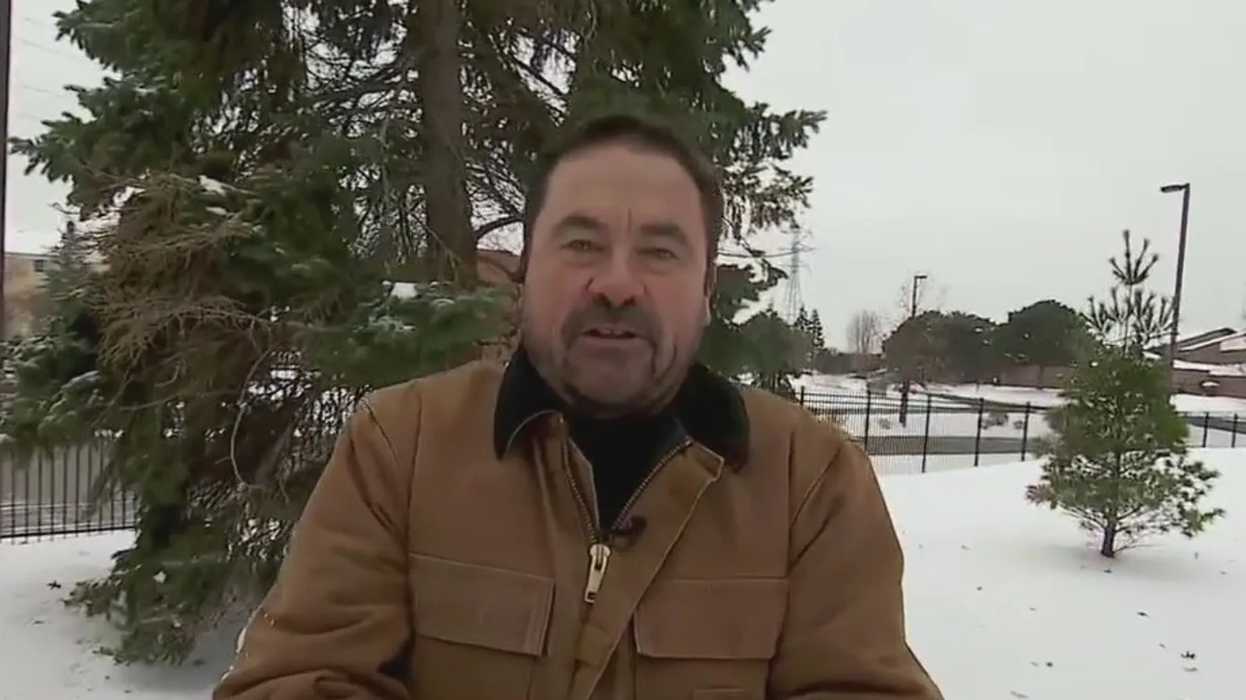 December Garden Tips