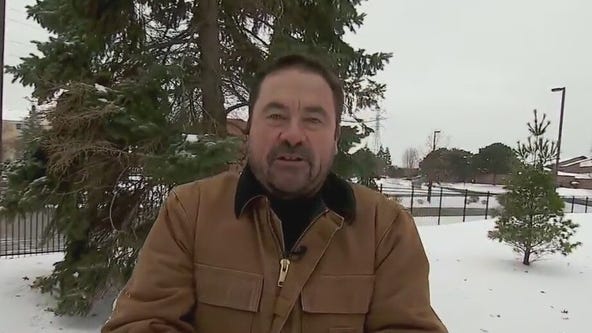 December Garden Tips