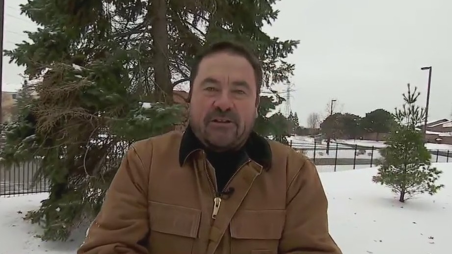 December Garden Tips