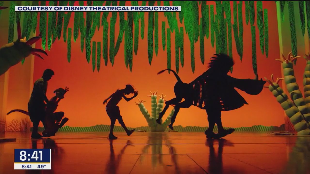 From Africa to Broadway.. The Lion King comes to Dallas