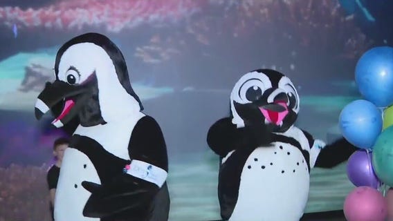 Odysea Aquarium: Taking a look behind the scenes