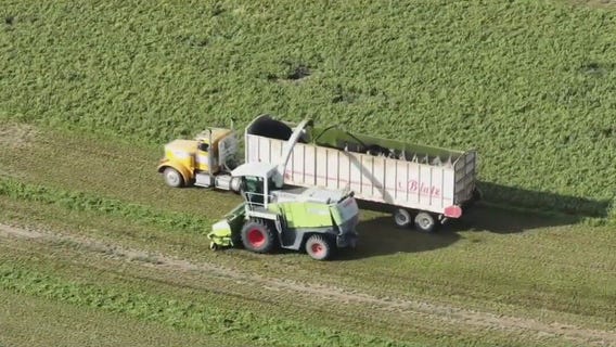 AZ AG sues Fondomonte over groundwater usage