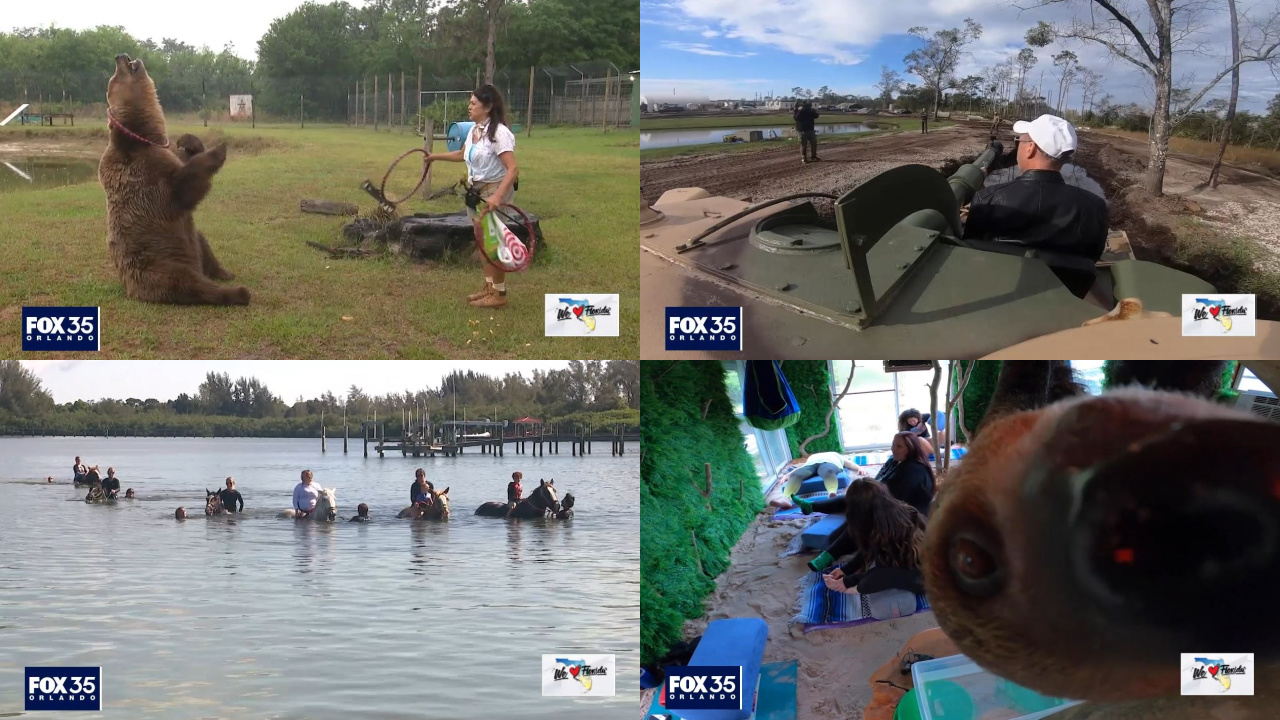 Year in review: Coolest places to visit in Florida