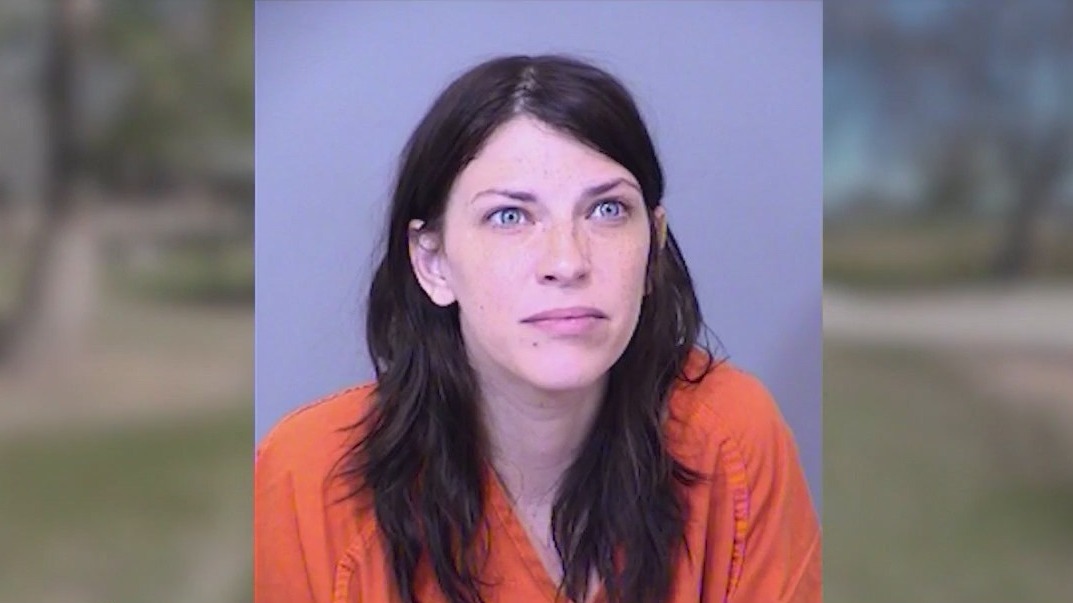 Mom sentenced for driving through park, running over girl