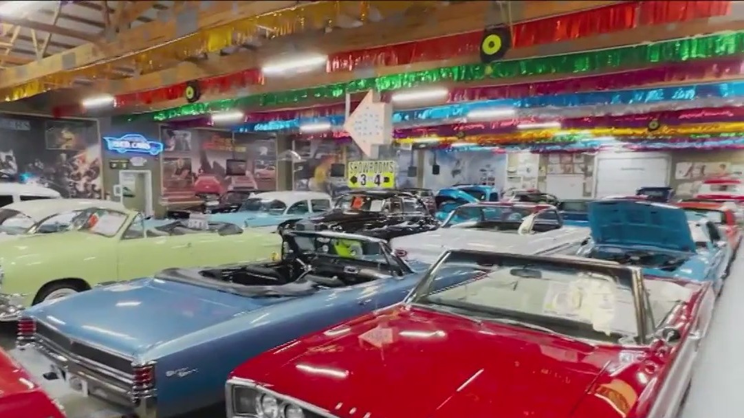 Treat your dad at Father's Day Fest this weekend at the Volo Museum