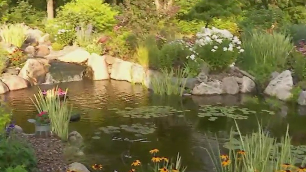 Tour Twin Cities most spectacular water gardens