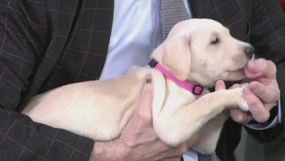 Humane Societies merge