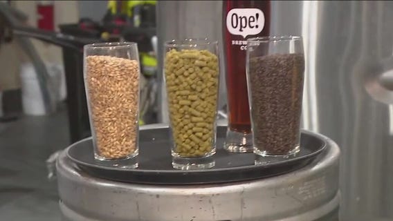 A Christmas tree lot that sells beer