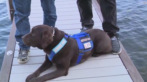 'Pup' Crawl to Benefit Sierra Delta