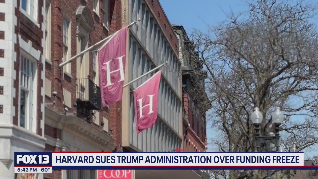 Harvard sues Trump administration over funding freeze