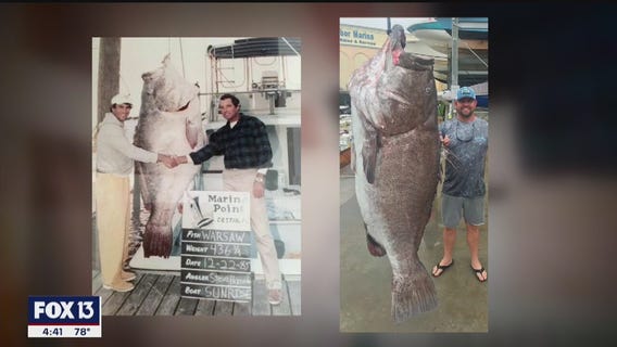 Only in Florida: Super Bowl wages war on snakes and dogs ride bikes