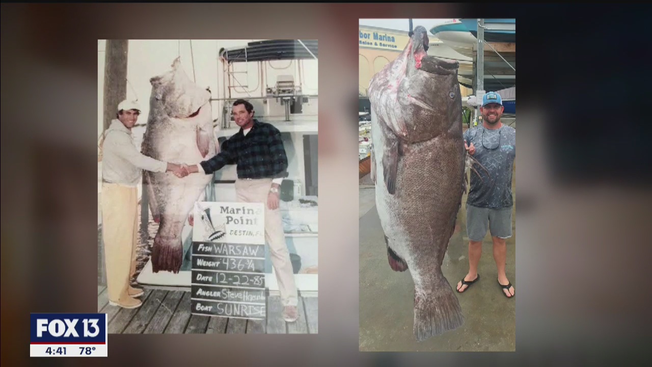 Only in Florida: Super Bowl wages war on snakes and dogs ride bikes