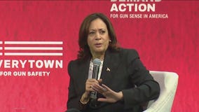 VP Harris addresses gun violence survivors, activists in Chicago