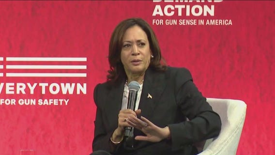 VP Harris addresses gun violence survivors, activists in Chicago