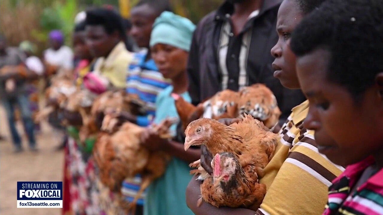 Gifting farm animals this holiday season