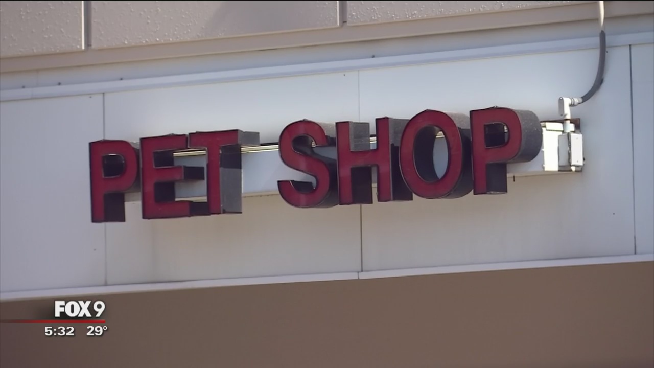 Cats, dogs ales banned at Roseville pet stores