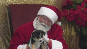 Houston Humane Society's unique adoption event