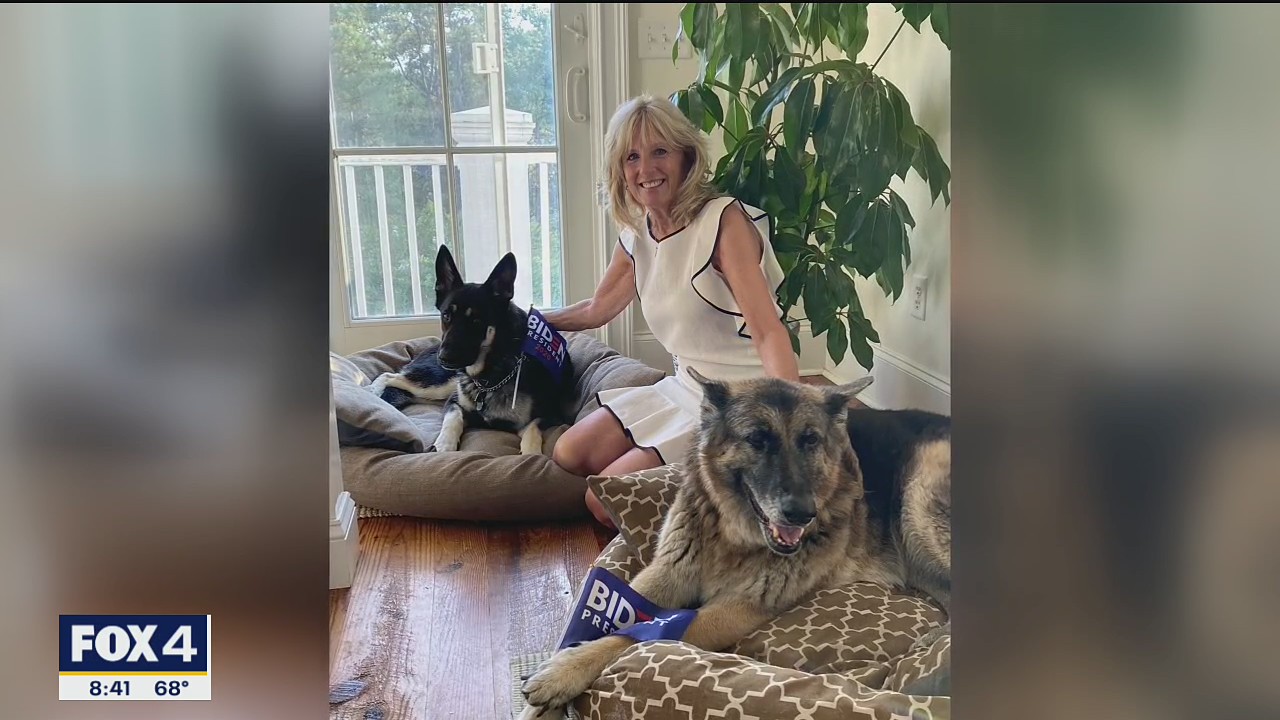 TMZ: Biden dogs on Twitter and Alex Trebek's hometown