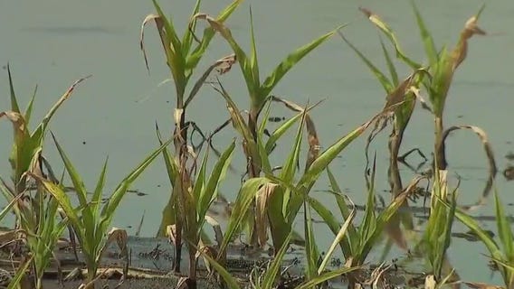 Funding Minnesota's agriculture