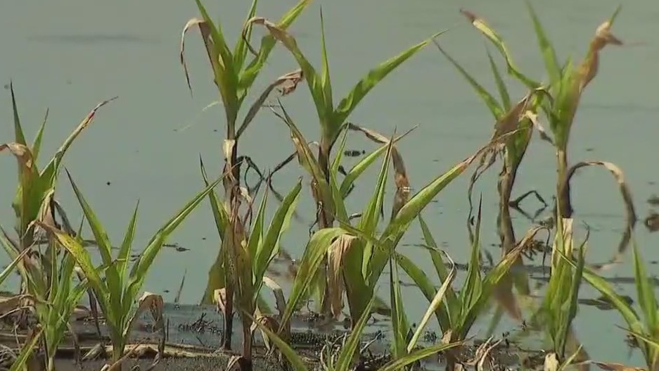 Funding Minnesota's agriculture