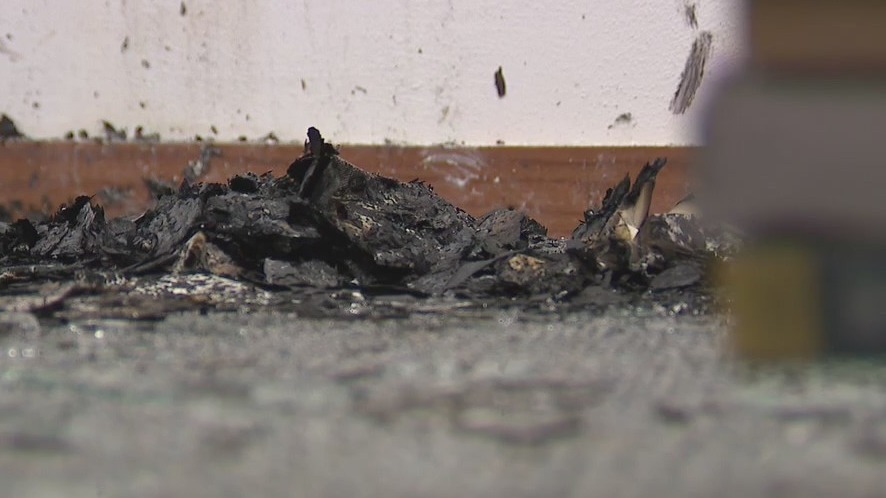 Madison group opposes abortion: Investigators update arson case