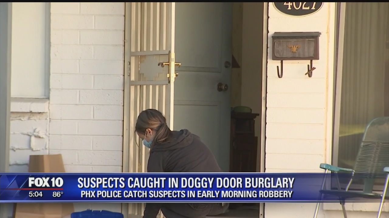 Doggie door burglary