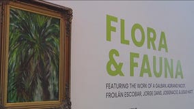Exhibit celebrates beauty of nature