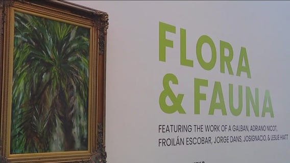Exhibit celebrates beauty of nature
