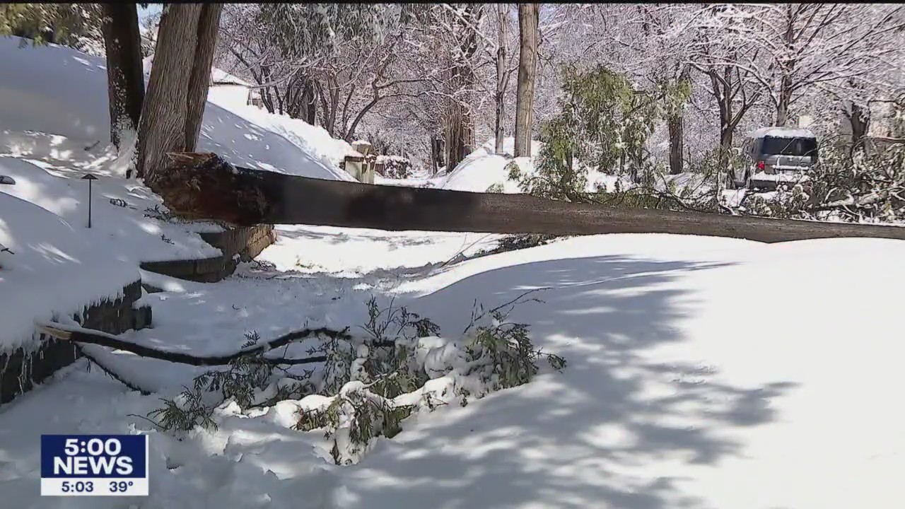 Twin Cities residents dig out after early spring storm
