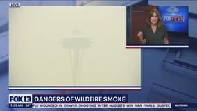 Health: Dangers of wildfire smoke