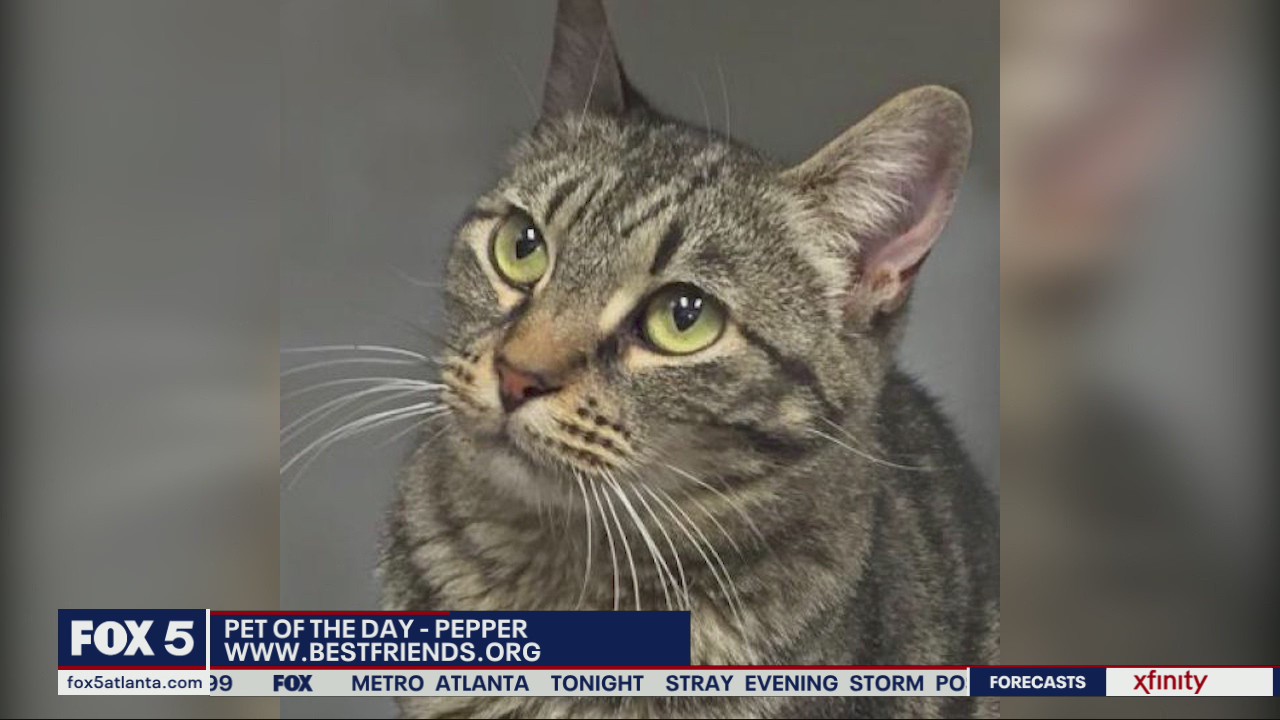 Pet of the day from Best Friends Animal Society