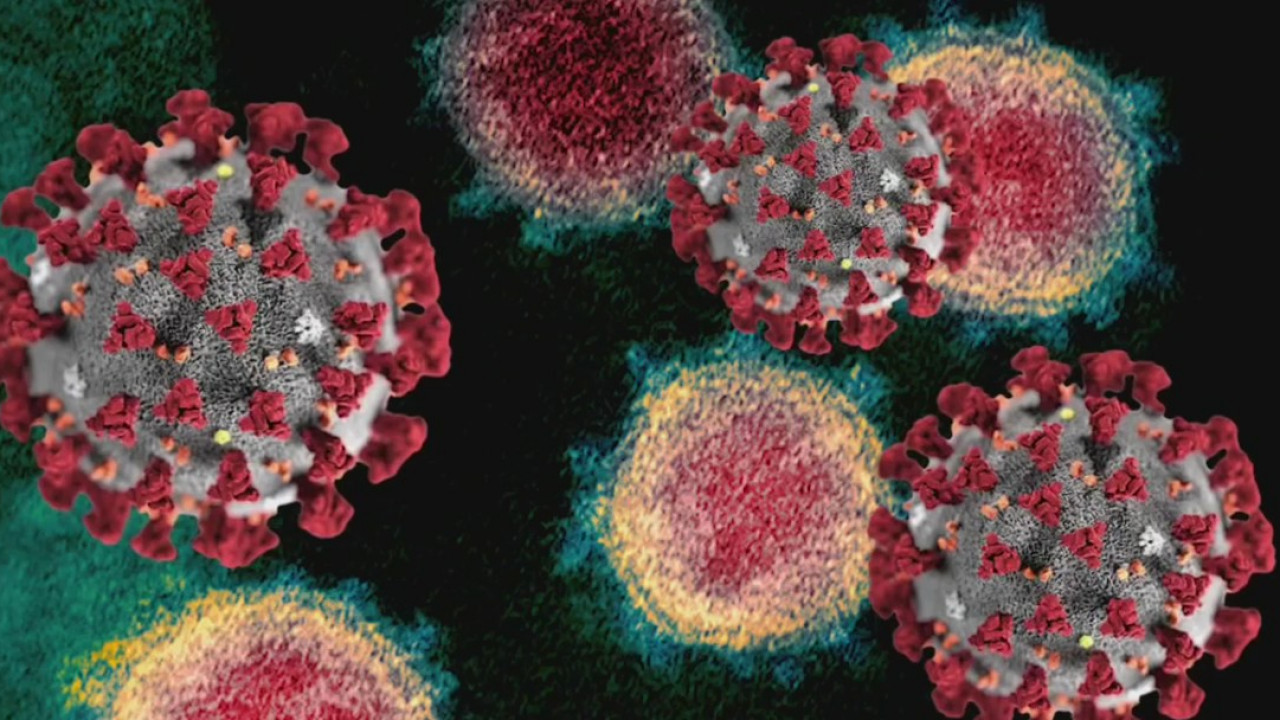 New UK variant found in Harris County