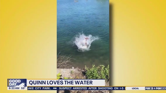 Pet Tricks for Friday, June 27